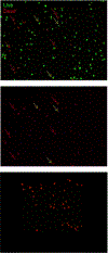 Fig.4