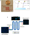 Fig.1