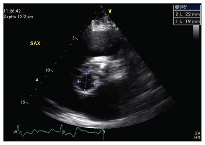 Figure 1: