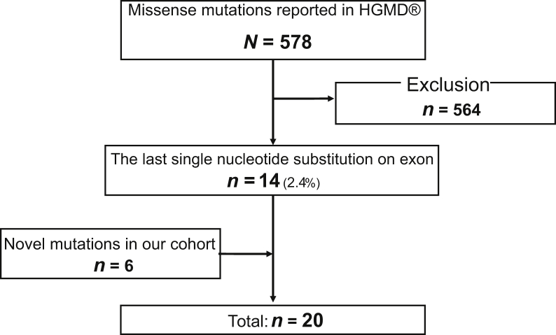 Figure 1