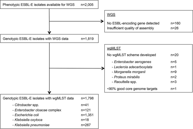 FIG 1