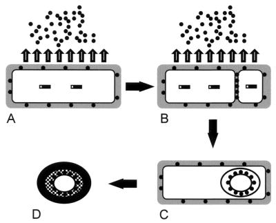 FIG. 9