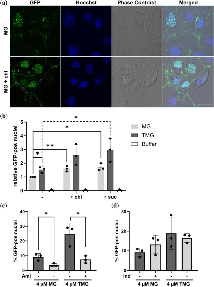 FIGURE 4