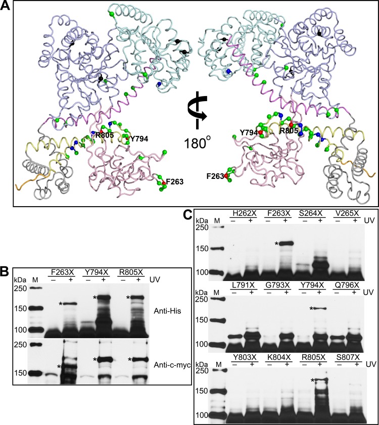 Fig 4