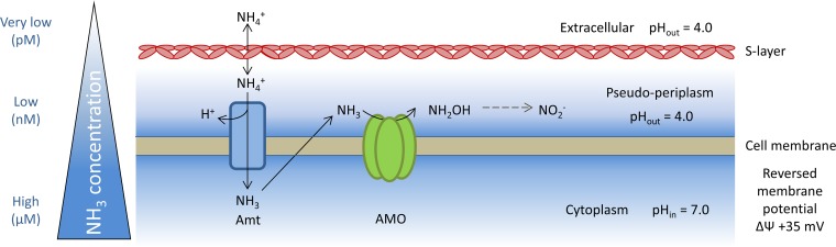 FIG 6