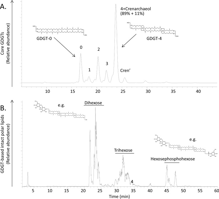 FIG 3