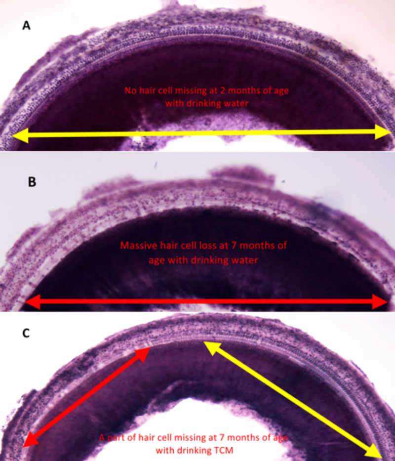 Fig 2: