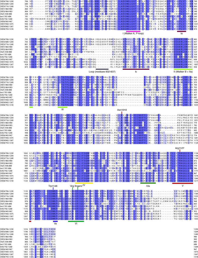 Figure 3—figure supplement 1.