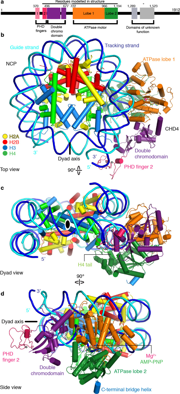 Figure 1.