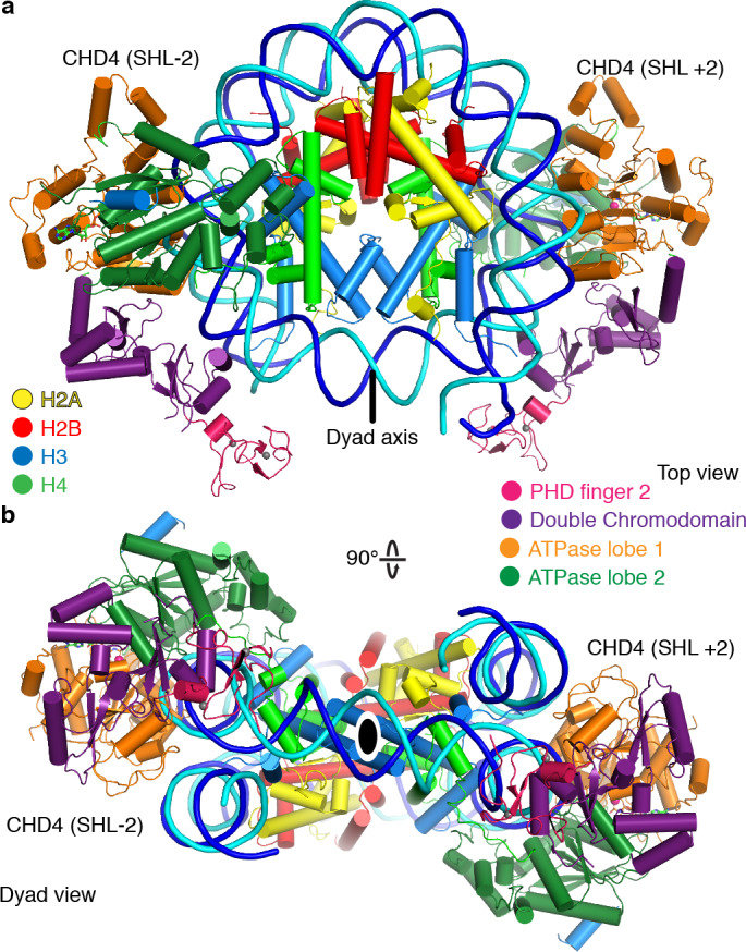 Figure 5.