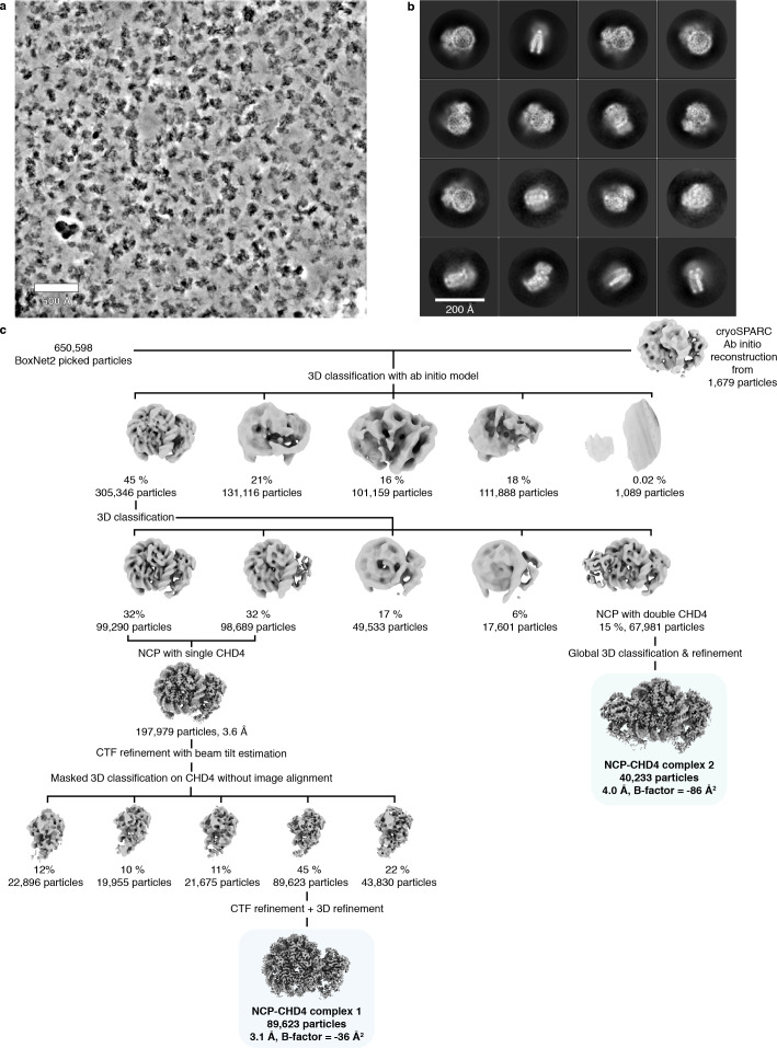 Figure 1—figure supplement 2.