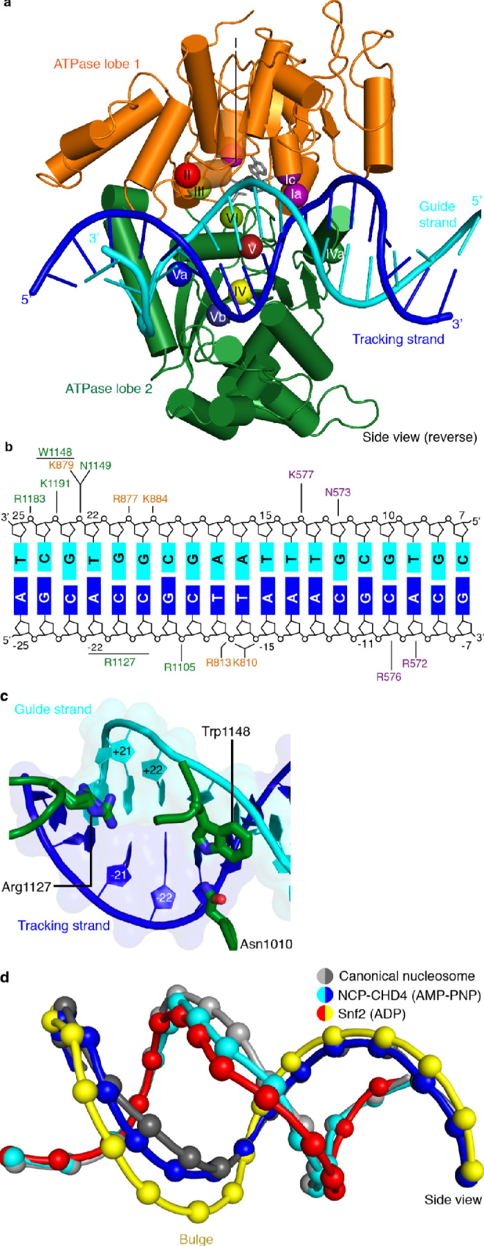 Figure 3.