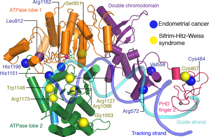 Figure 6.