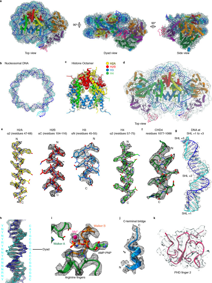 Figure 1—figure supplement 3.