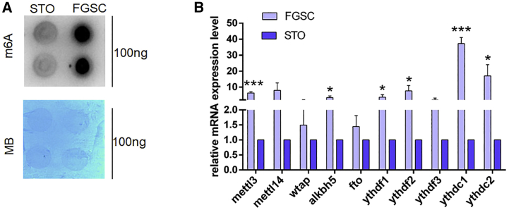 Figure 2