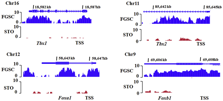 Figure 6