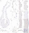 Fig. 7.