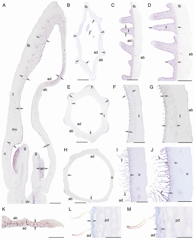 Fig. 6.