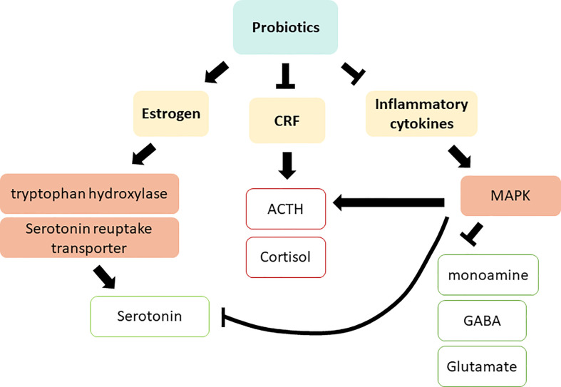 Figure 4