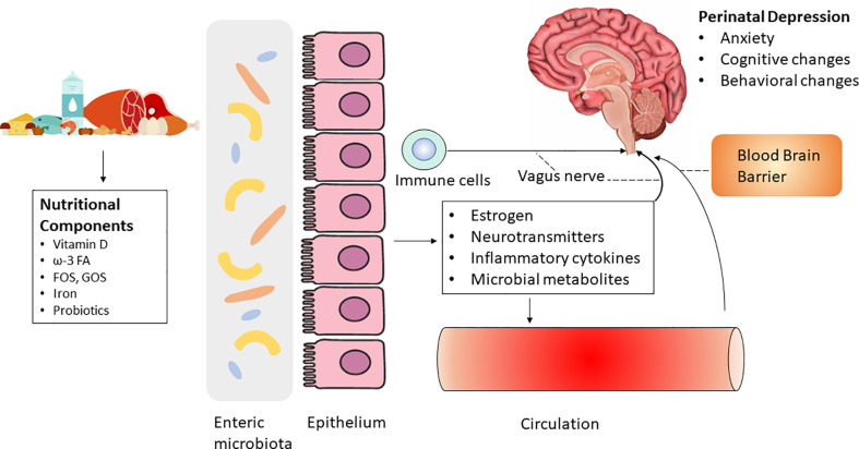 Figure 1