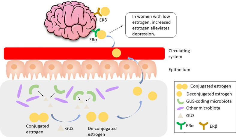 Figure 2