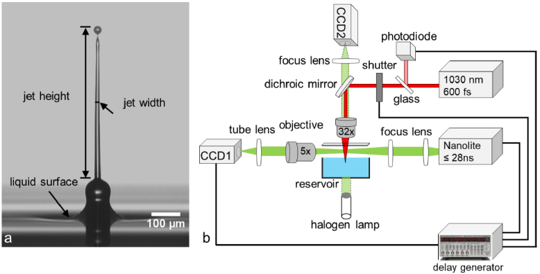 Fig. 2.