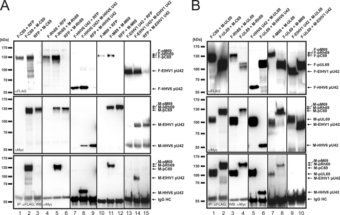 FIG. 4.