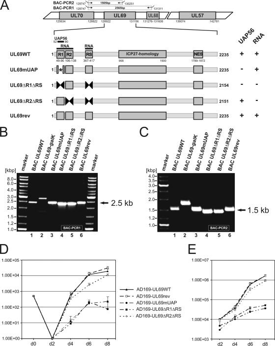 FIG. 9.