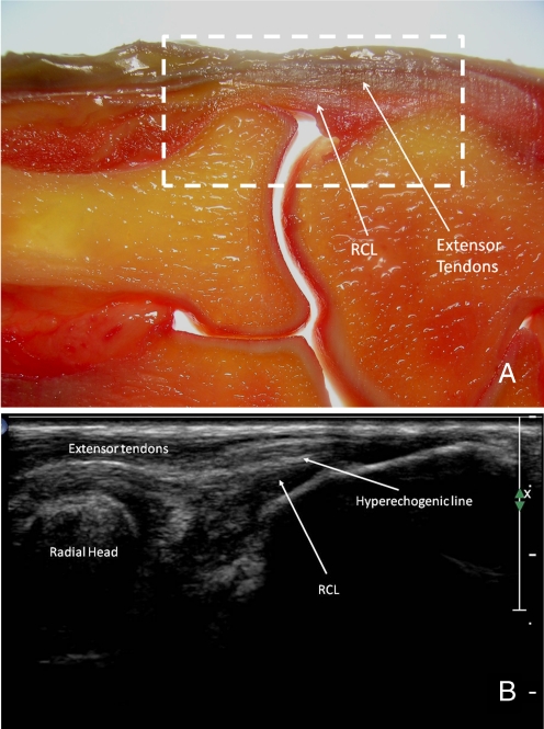 Fig. 5