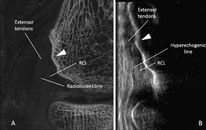 Fig. 6