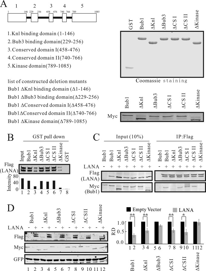 FIG 2