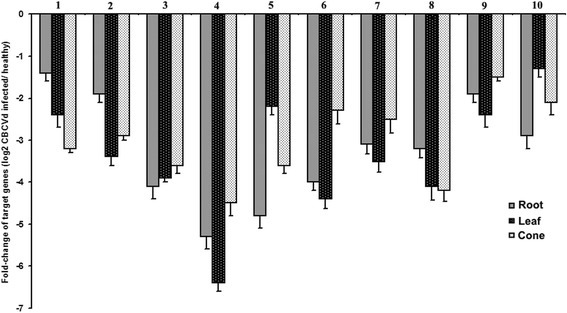 Fig. 7