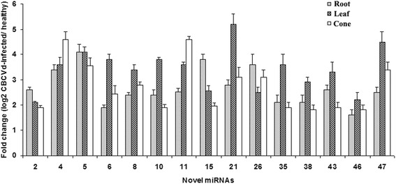 Fig. 4