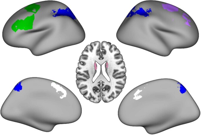 Fig. 5