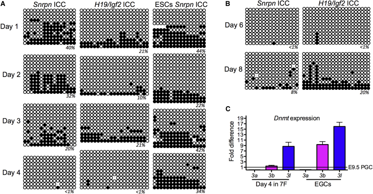 Figure 4