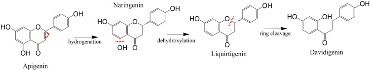 Fig 7