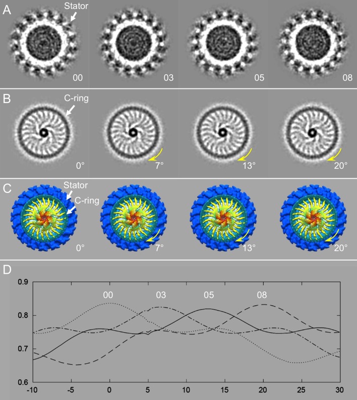 Fig 3