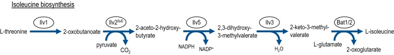 Fig. 3