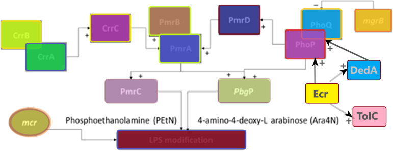 FIG 2