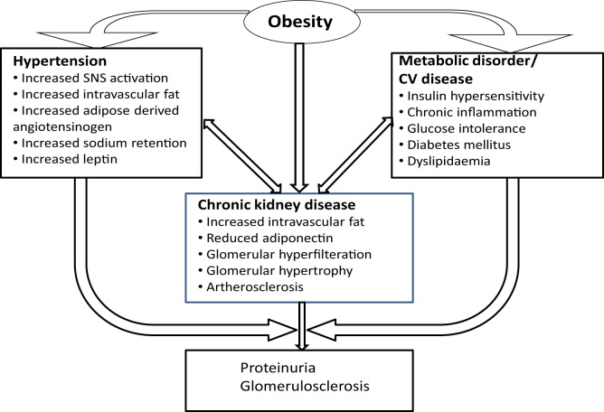 Figure 4