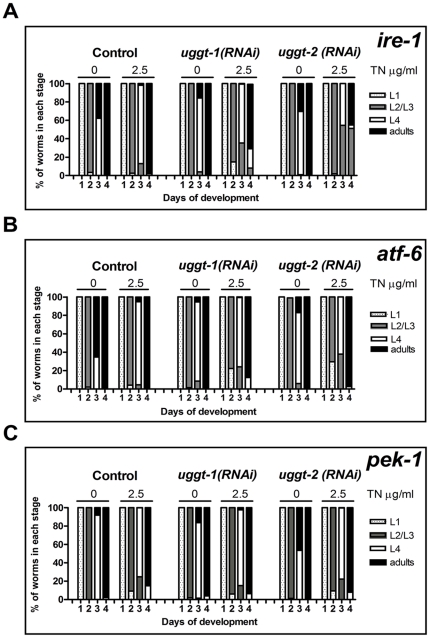 Figure 12