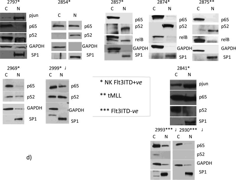 Fig.3