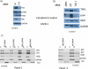 Fig.3