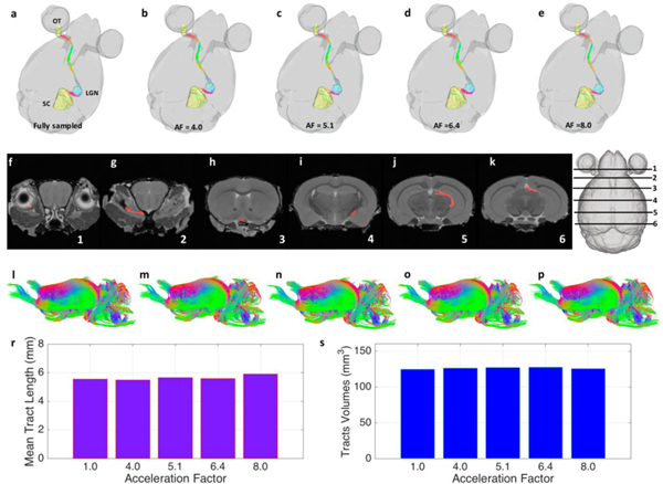 Figure 5: