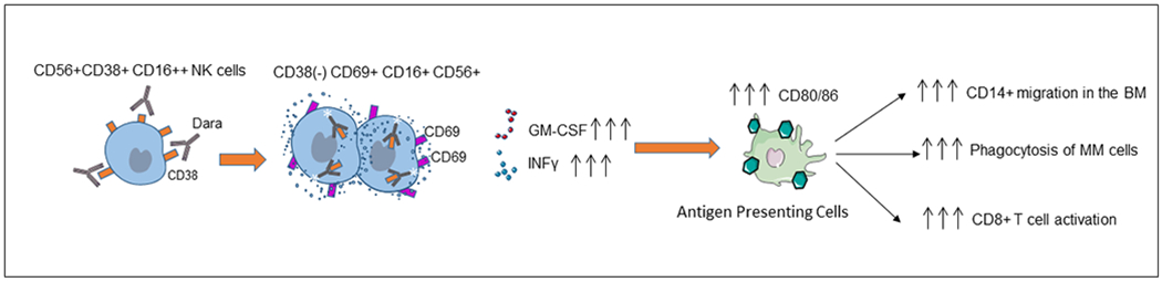 Fig.6.