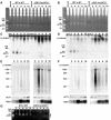 FIG. 4.