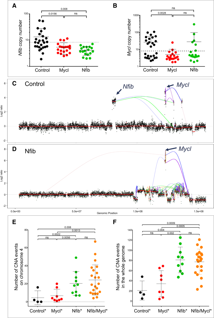 Figure 2