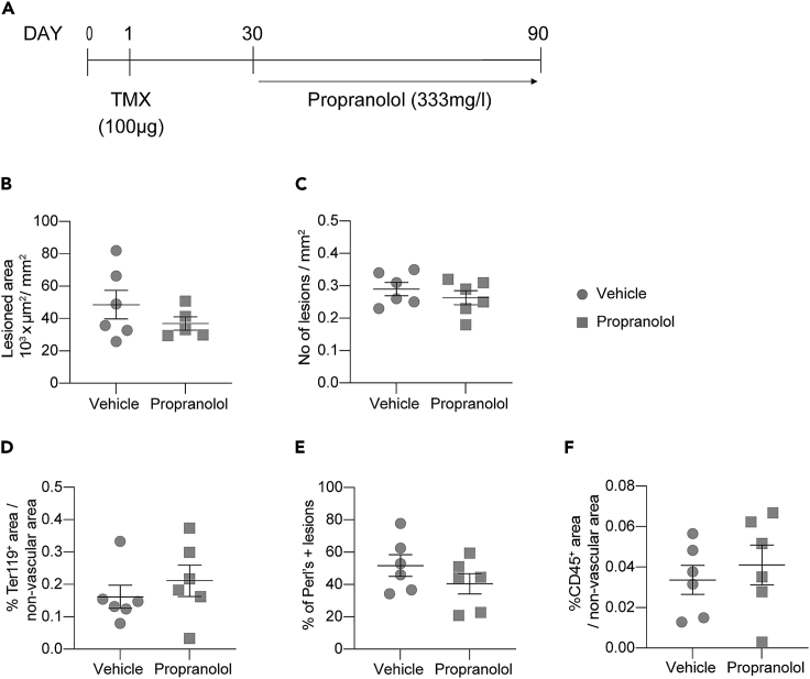 Figure 6