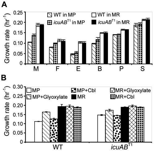 Figure 5