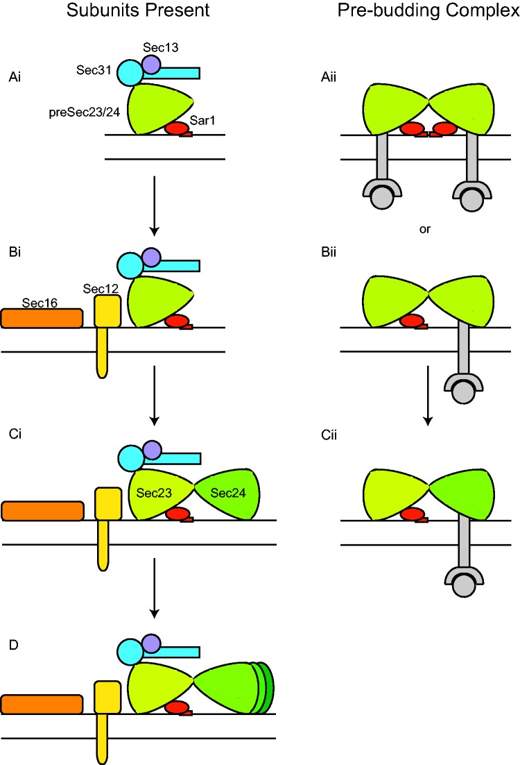 Fig. 4.—